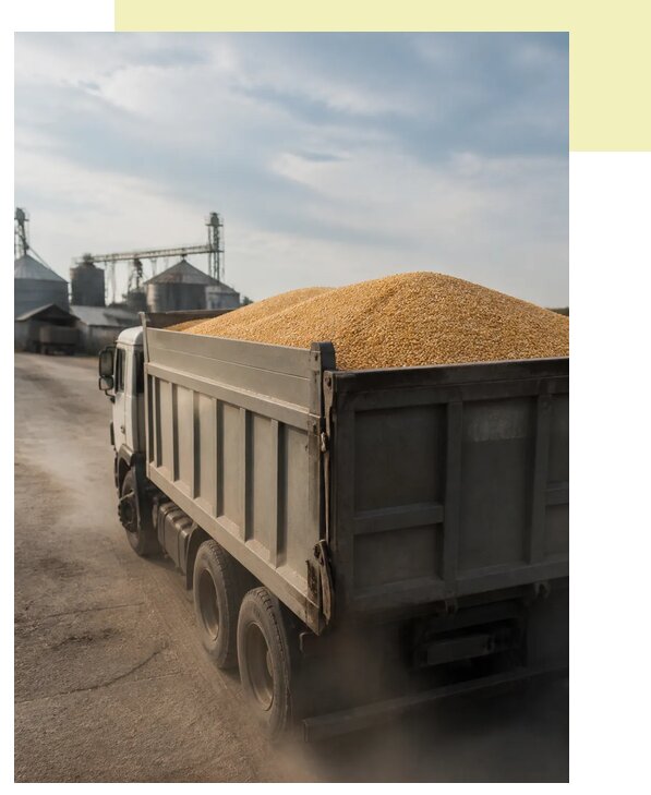 Перевозка сельхозпродукции навалом в Алапаевск по цене от 3212 р. | Агросервис-Лпв